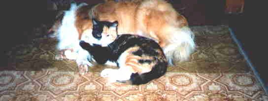 alfie_pepper.jpg (20525 bytes)